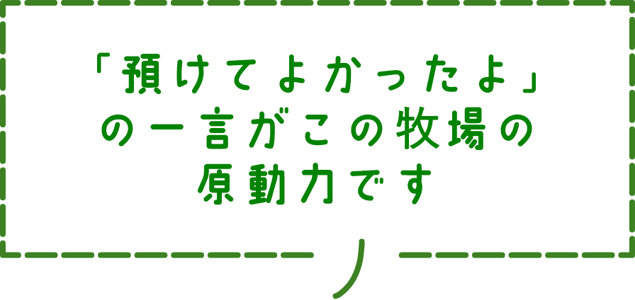 「預けてよかったよ」の一言がこの牧場の原動力です